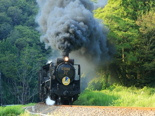 山口県の風景：SLやまぐち号