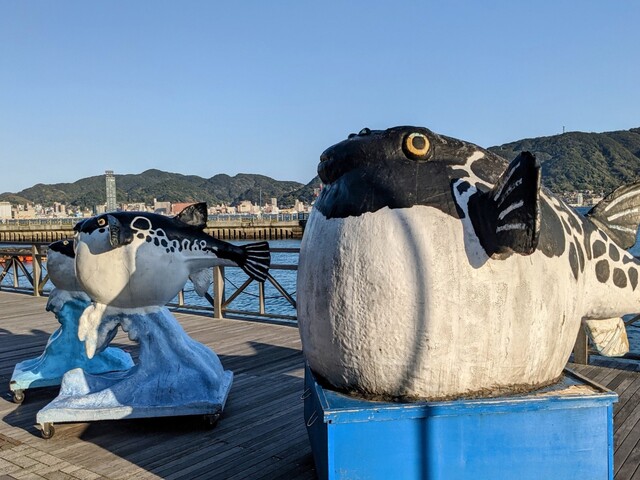 山口県の風景：ふぐ